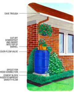 &Amp;Quot;Msd-Door-Hanger-Rain-Barrel&Amp;Lt;/P